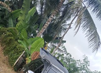 Gadaikan Mobil Sewaan, Seorang Pria Ditangkap Polisi