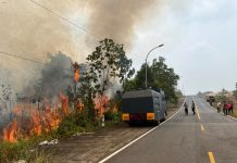Lahan Seluas 4 Hektare Terbakar Berhasil Dipadamkan