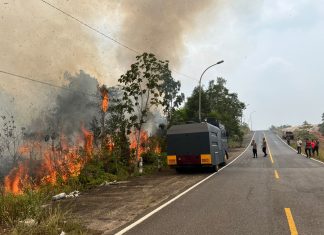 Lahan Seluas 4 Hektare Terbakar Berhasil Dipadamkan