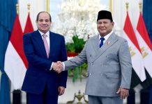 Pertemuan Prabowo dan Presiden Mesir Hasilkan Empat Kesepakatan Kerja Sama