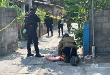 Granat Jenis Manggis Ditemukan di Imogiri Bantul