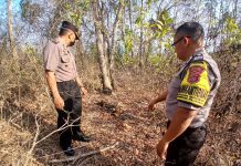 Geger! Kerangka Manusia Ditemukan di Bantul